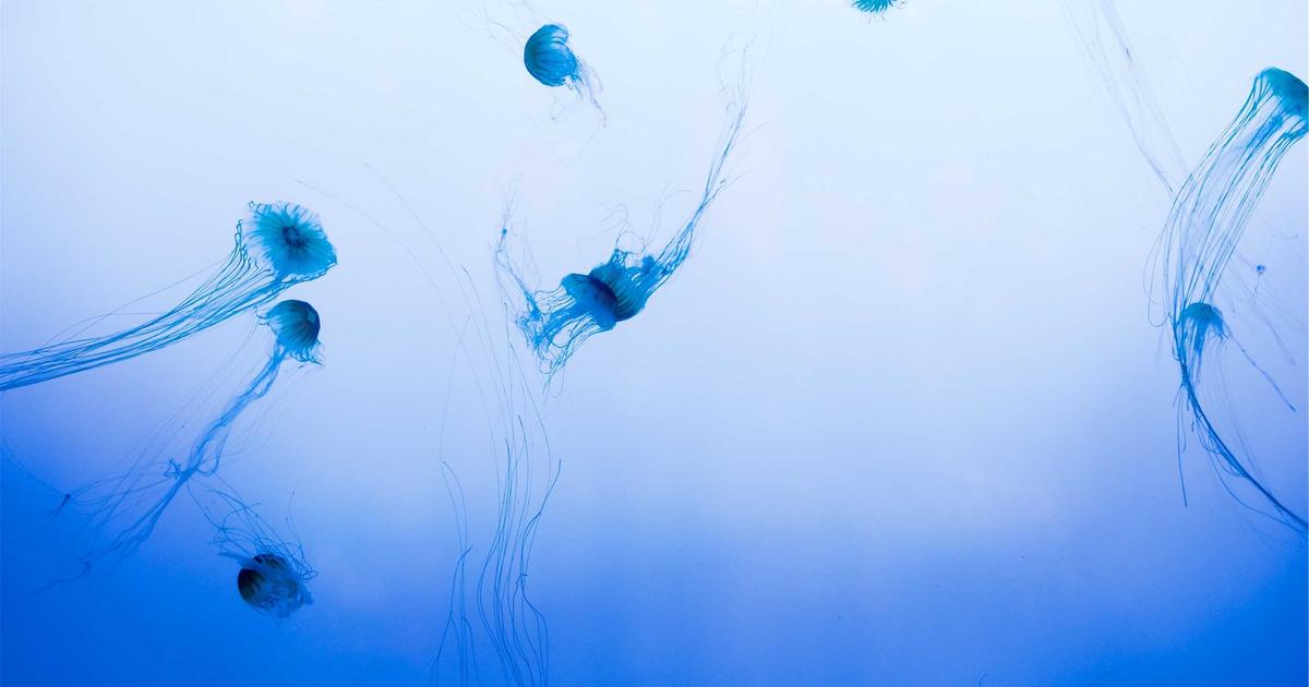 Breaking the Busyness Trap in Organizations