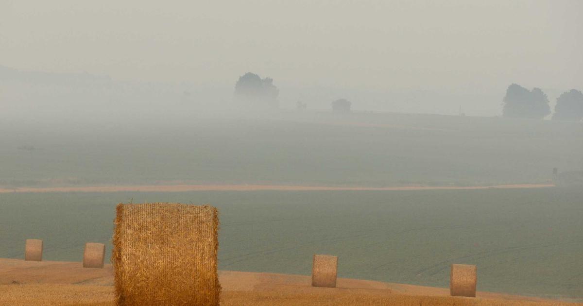 From Tag to Tennis: Lessons in Feedback