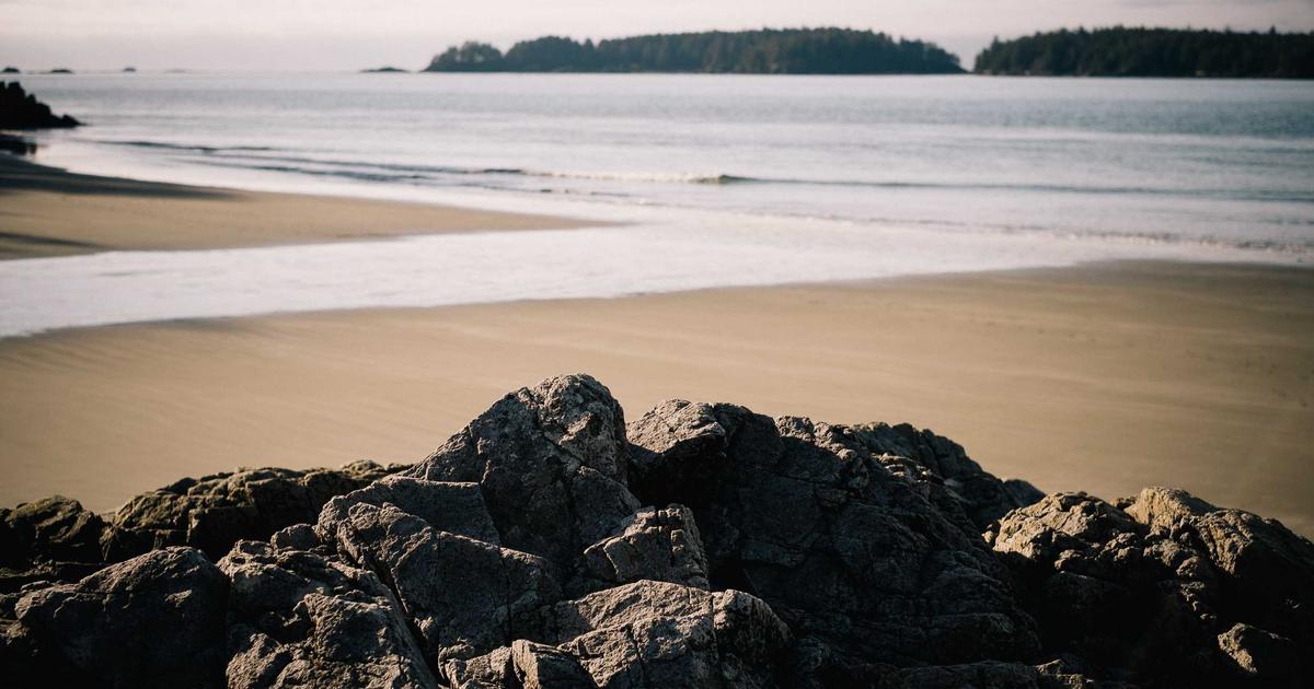 Leading innovation in teams