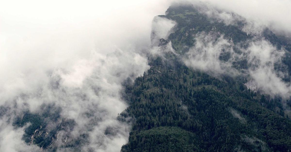 The AI Maturity Gap: Why Most Organizations Are Stuck